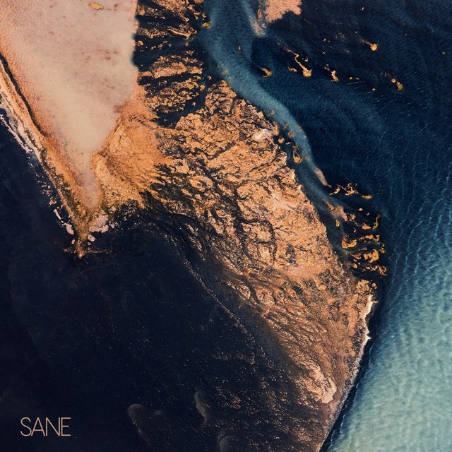 Sane
