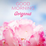 Good Morning Gorgeous