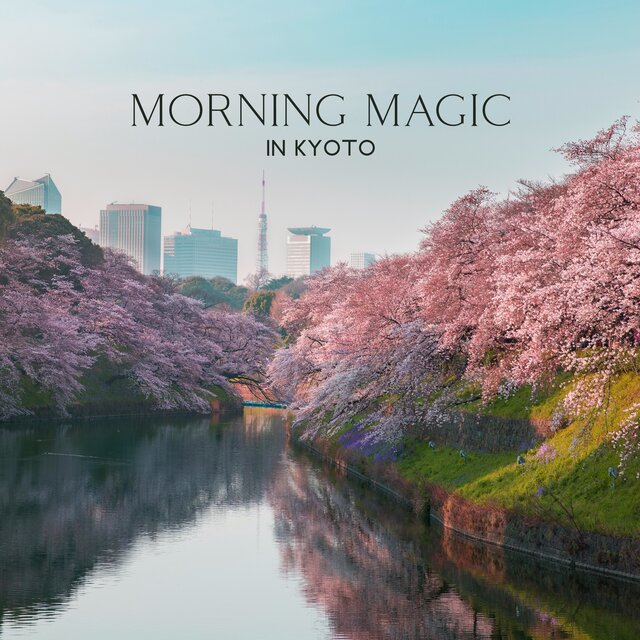 Morning Magic in Kyoto