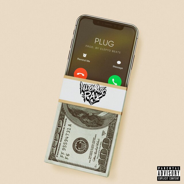Plug