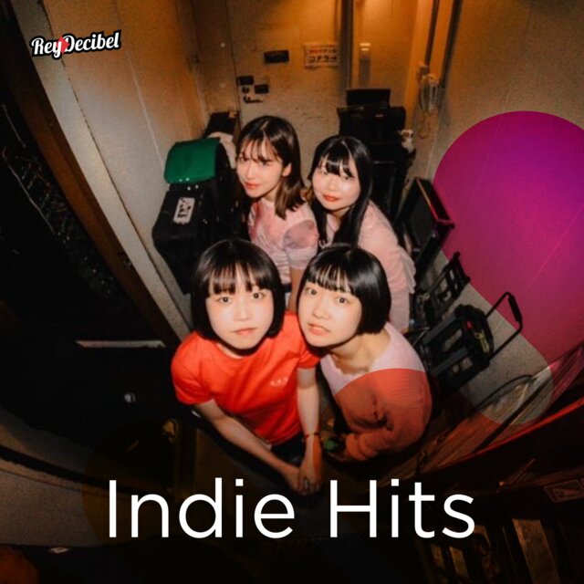 Cover art for album Indie Hits by User