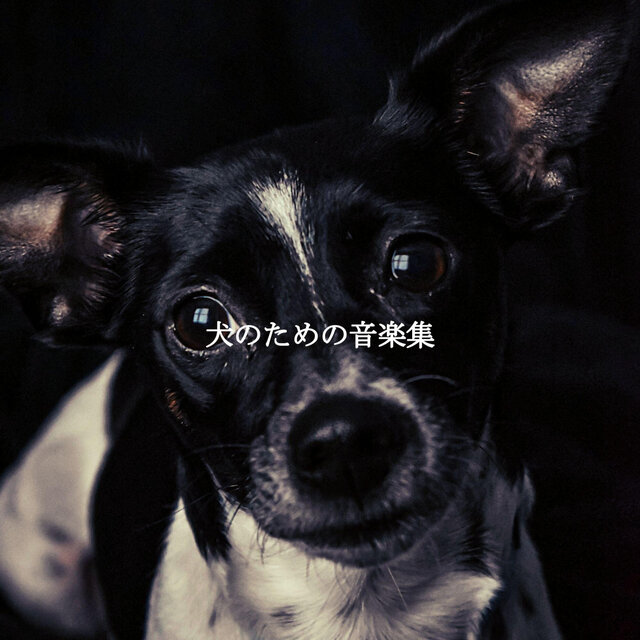 犬のための音楽集