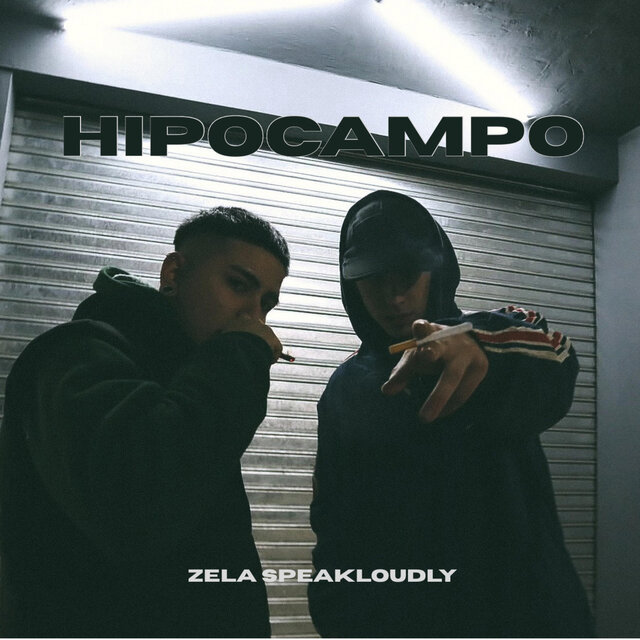 HIPOCAMPO