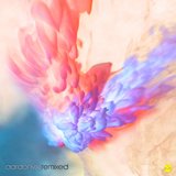Dance with Me (Insideman Remix)