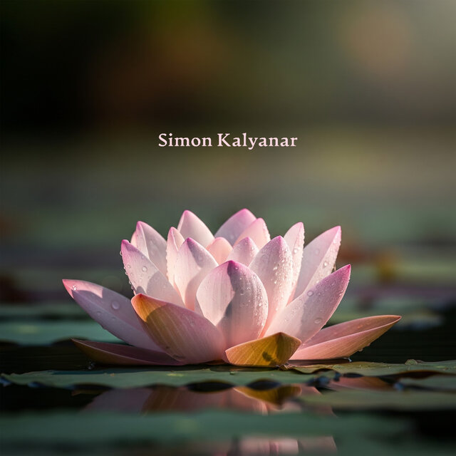 The Lotus Blooms Slowly