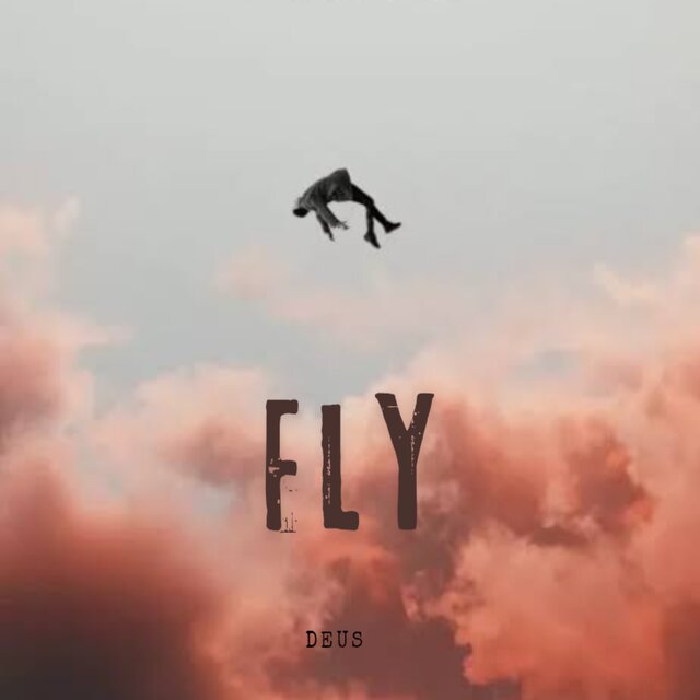 Fly