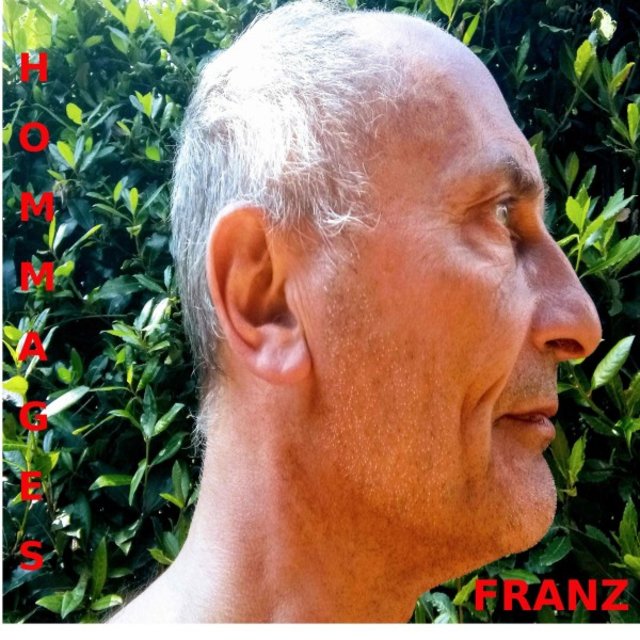 Franz Hommages