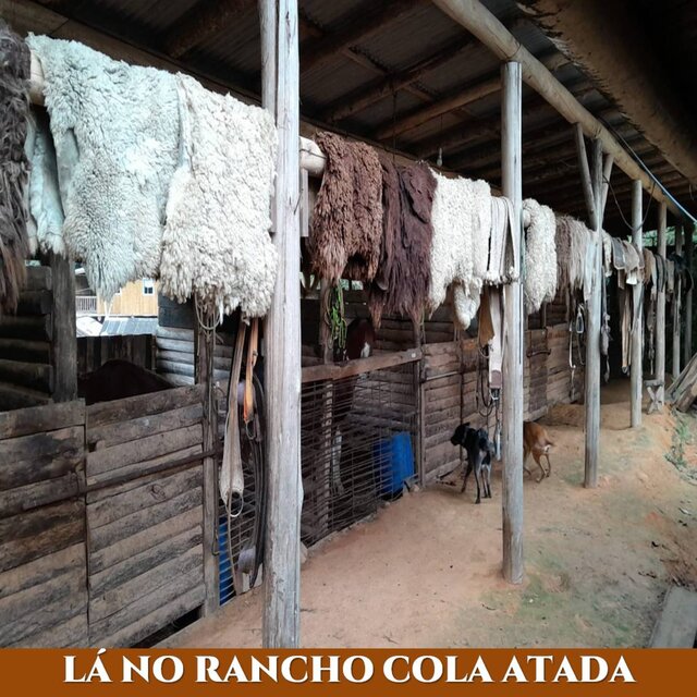 Lá no Rancho Cola Atada