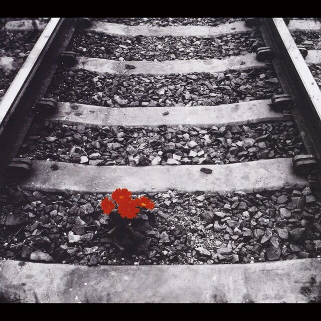 Tracks