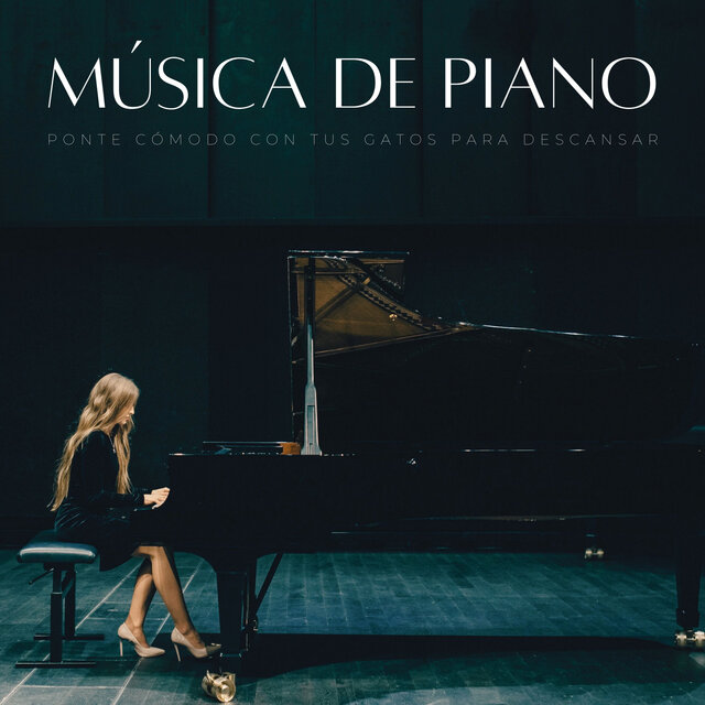 Música De Piano: Ponte Cómodo Con Tus Gatos Para Descansar