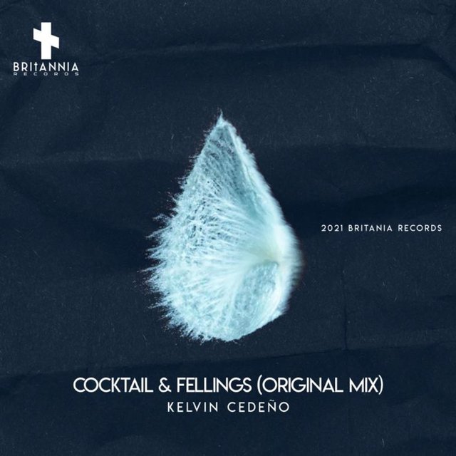 Cocktail & Fellings