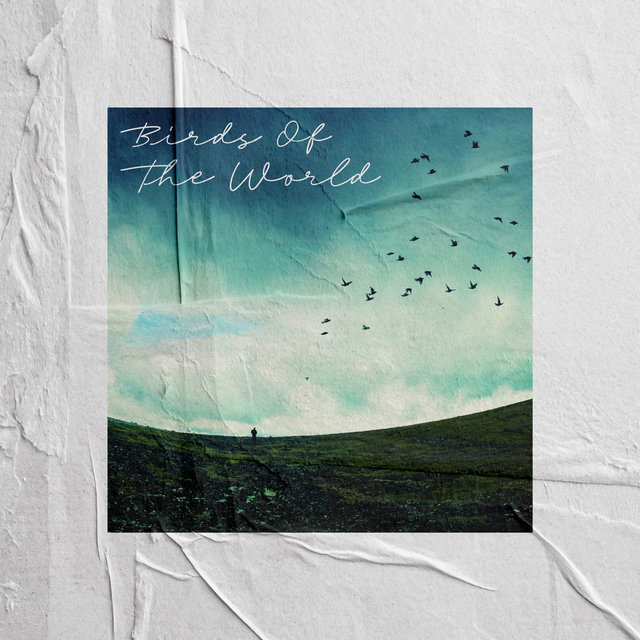 Birds Of The World - Sounds Of Singing And Chirping Birds From All Over The World