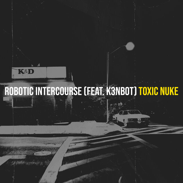 Robotic Intercourse