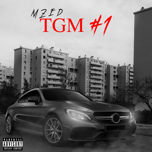 TGM #1