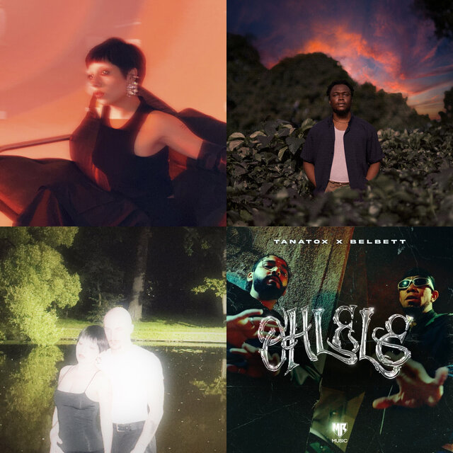 Cover art for album buoh's seal of approval 🦉 by User