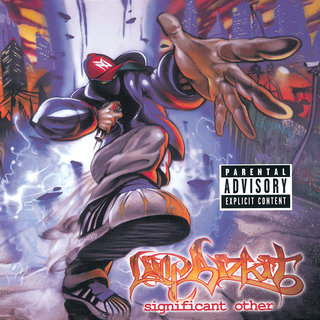 LIMP BIZKIT レコード　限定盤　レア　カラー盤　ニューメタル　ラップ Limp Bizkit - TIDAL