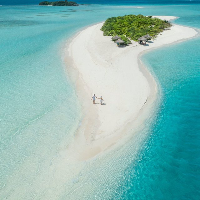Inspired Beach Trips