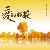 他乡的雪