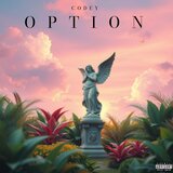 Option