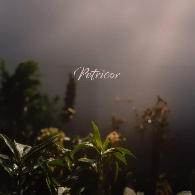 Petricor