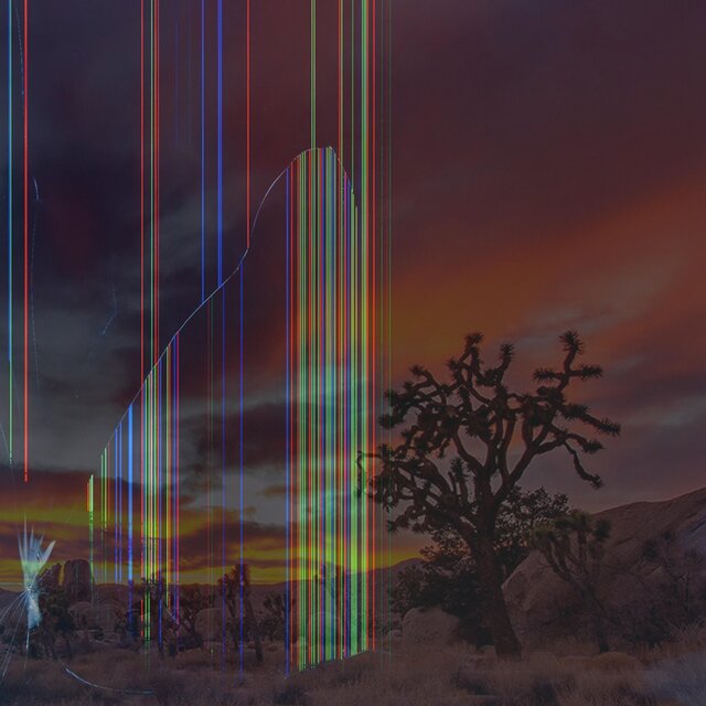 Joshua Tree at Sunset