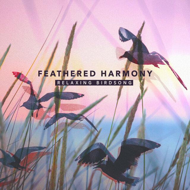 Feathered Harmony