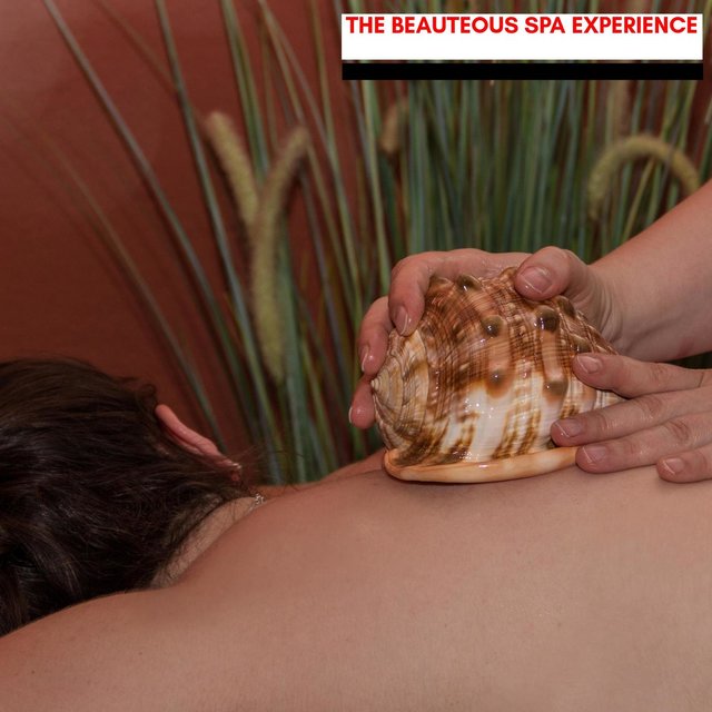 The Beauteous Spa Experience