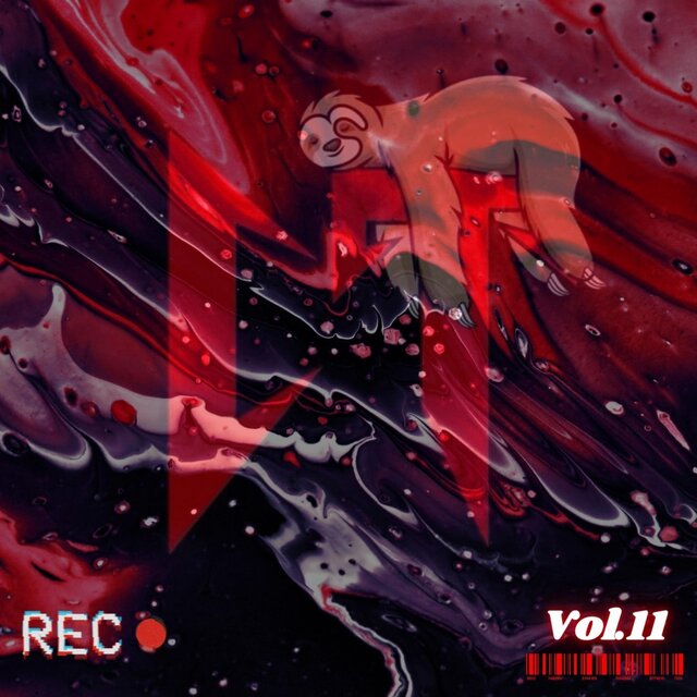 CANCIONES A MI ESTILO, Vol. 11
