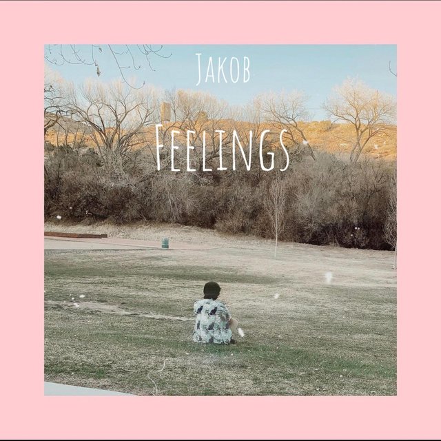 Feelings