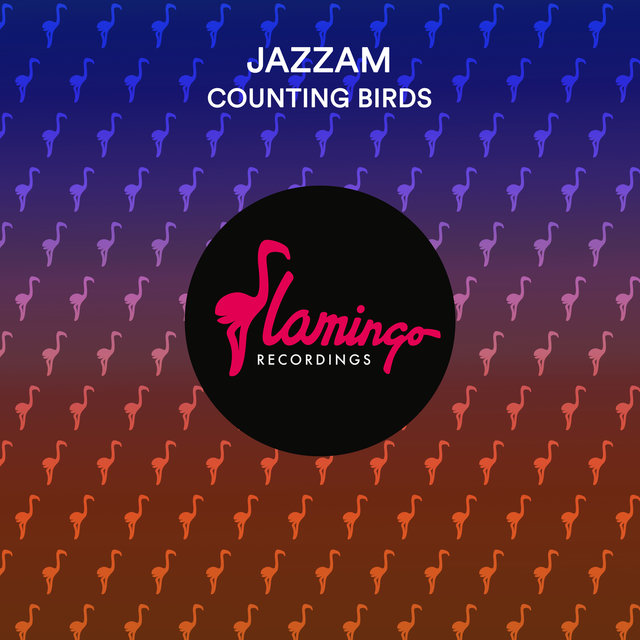 Counting Birds (Extended Mix)