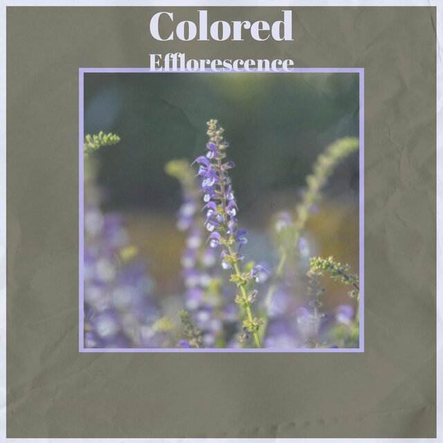 Colored Efflorescence