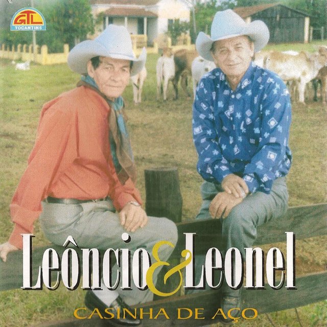 Casinha de Aço