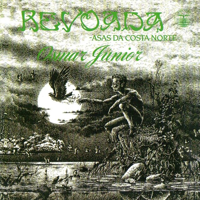 Revoada