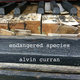 Cover art for album Alvin Curran: Endangered Species by Alvin Curran