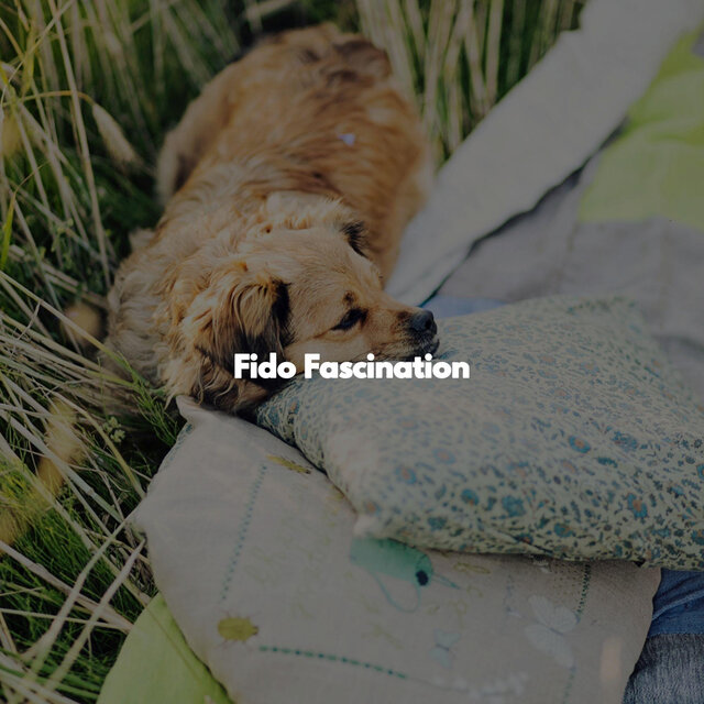 Fido Fascination