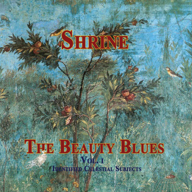 The Beauty Blues, Vol. 1: Identified Celestial Subjects