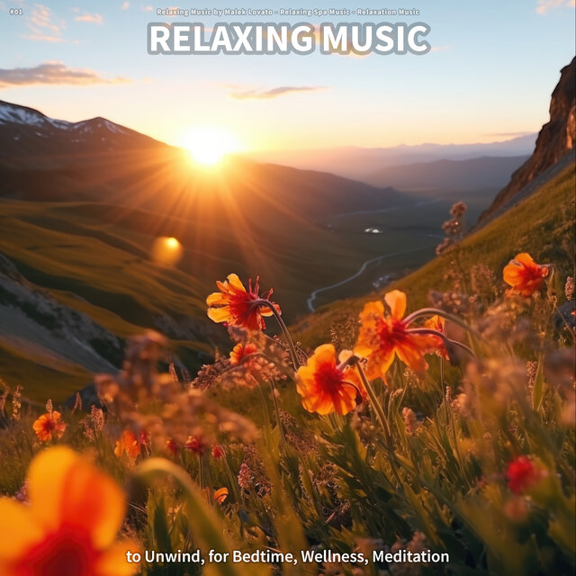 #01 Relaxing Music to Unwind, for Bedtime, Wellness, Meditation
