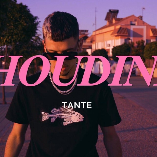 Houdini