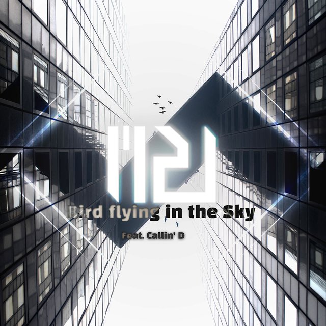 Bird Flying in the Sky (feat. Callin' D)