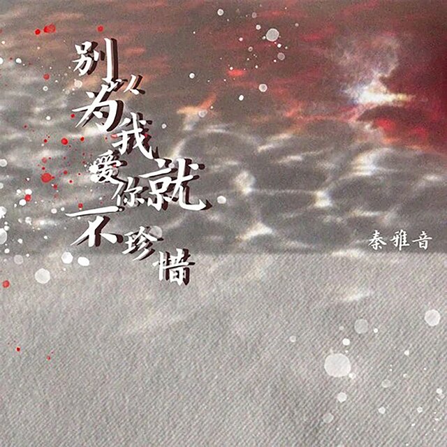 别以为我爱你就不珍惜 (DJ版)