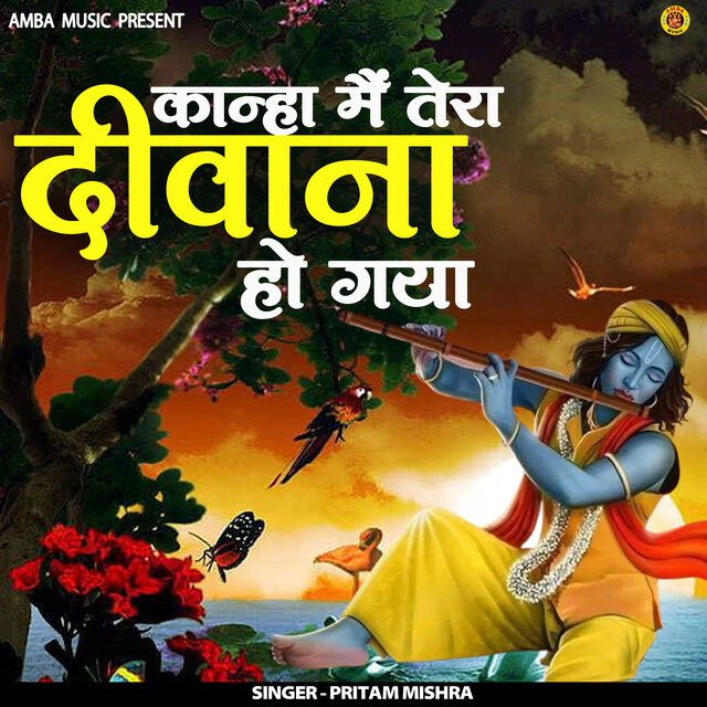 Kanha Main Tera Deewana Ho Gaya