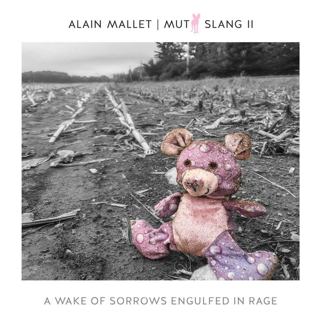 Cover art for album A Wake of Sorrows Engulfed in Rage by Alain Mallet