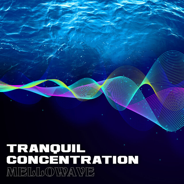 Tranquil Concentration