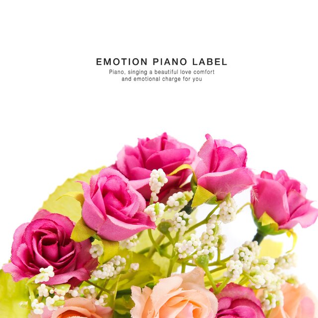 A calm sensibility piano collection suitable for store music