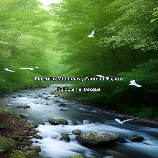 Rio en las Montañas y Canto de Pájaros