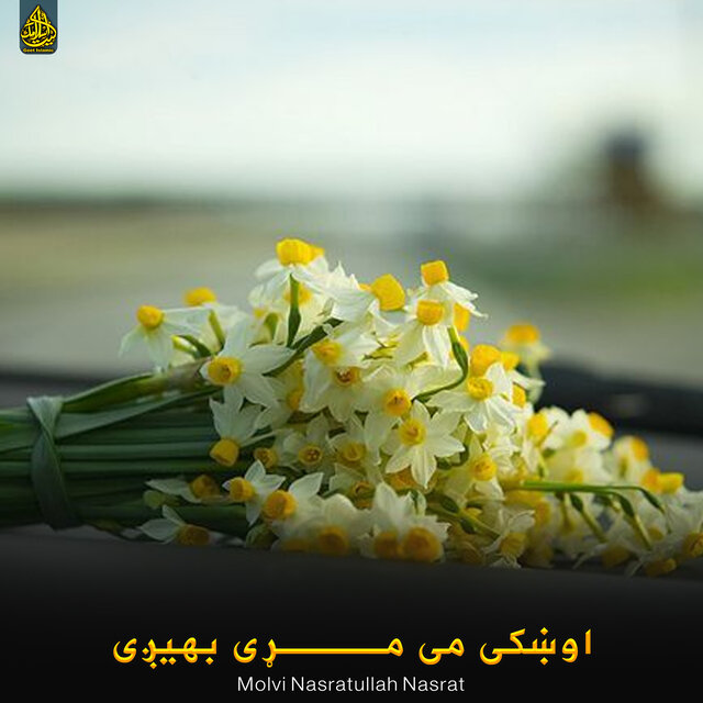 اوښکی می مړی بهیږی