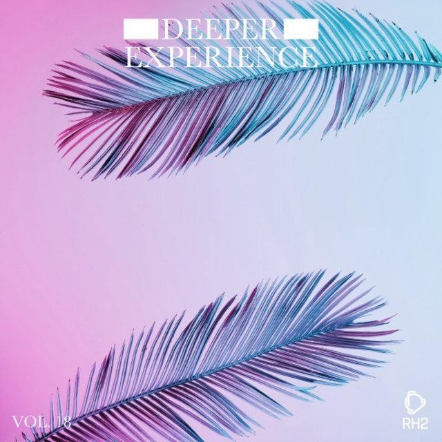 Deeper Experience, Vol. 18