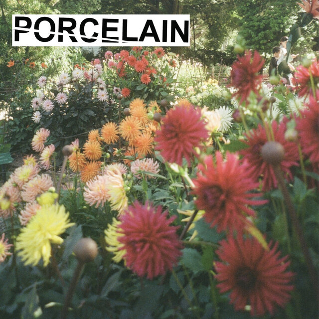 Cover art for album Harmony by Porcelain