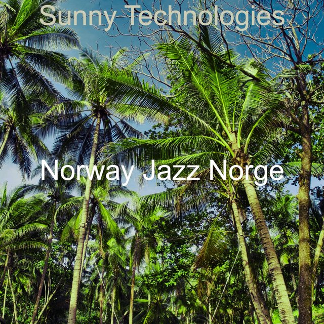 Sunny Technologies