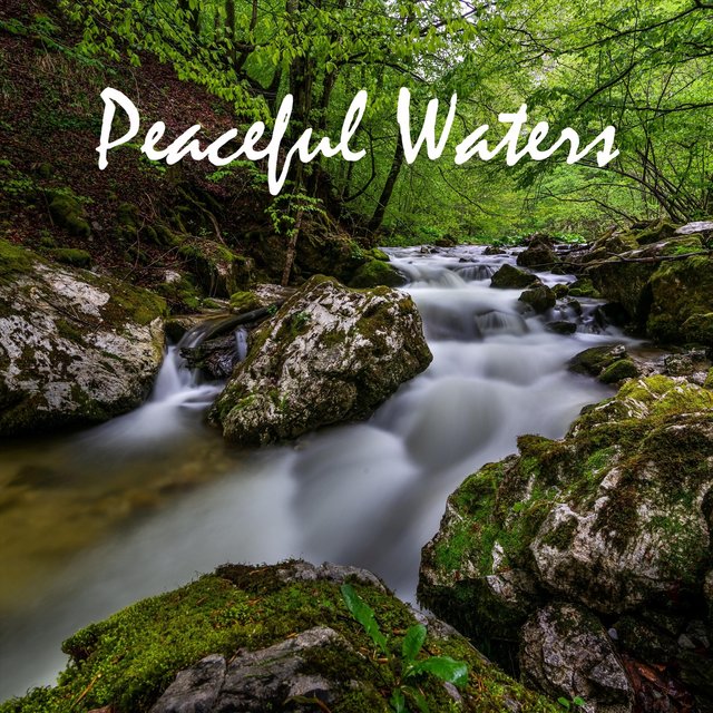Peaceful Waters